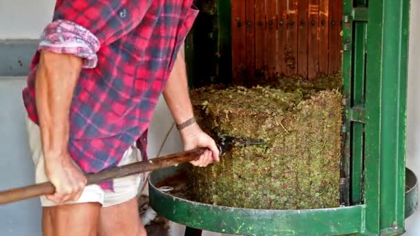 Agricultor trabajando — Vídeo de stock