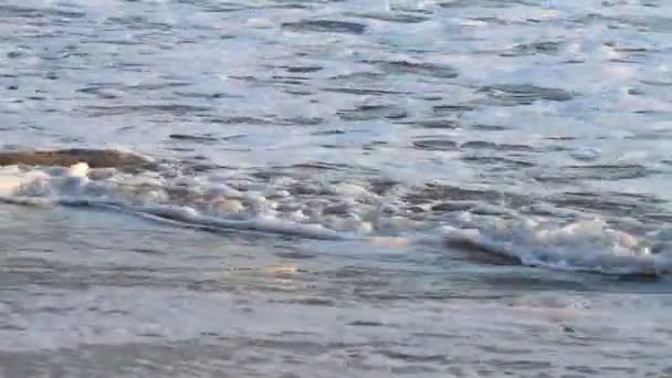 vagues sur la plage