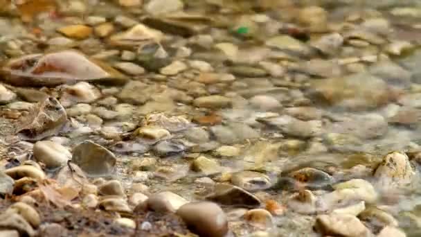 Frente fluvial harmoniosa — Vídeo de Stock