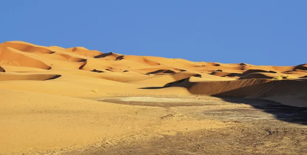 Dunes — Stock Photo, Image