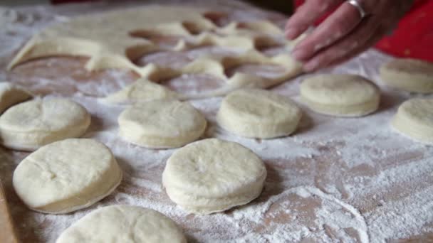 Deliziosa torta fatta in casa — Video Stock