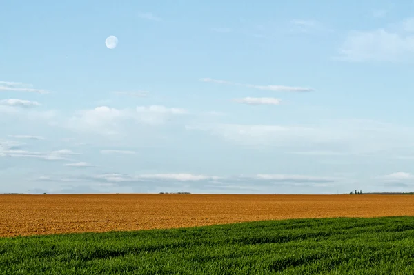 Landschaft — Stockfoto