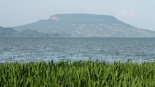 Landschap van het Balatonmeer (Hongarije) — Stockvideo