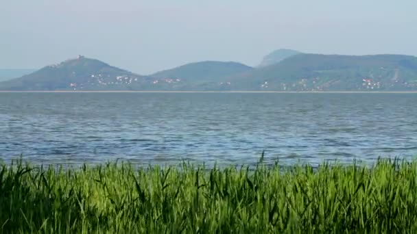 Пейзаж из озера Балатон (Венгрия) ) — стоковое видео