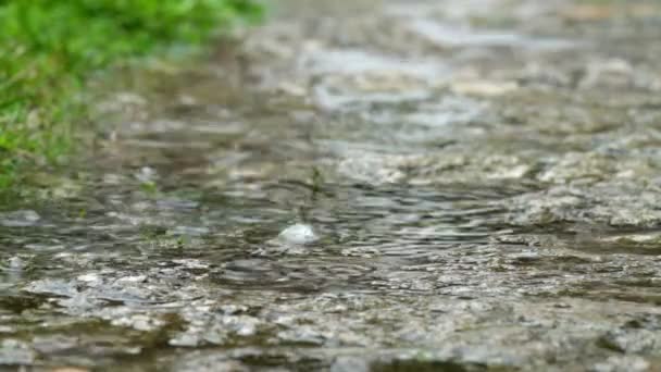 Primavera fuerte lluvia — Vídeos de Stock