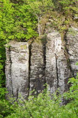 sütun halinde bazalt