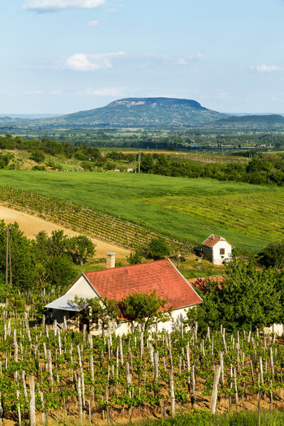 Landscape from Hungary