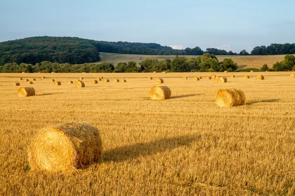 Strohballen — Stockfoto