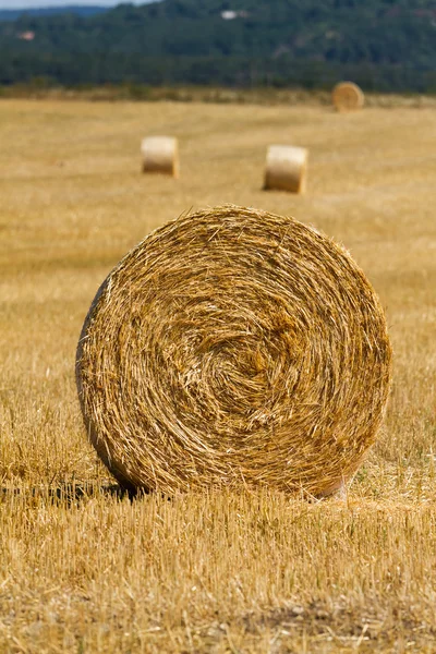 Fardos de palha — Fotografia de Stock