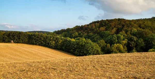 Landwirtschaft — Stockfoto