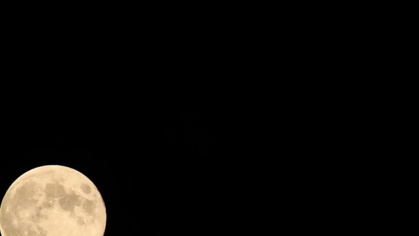 Mond in der Nacht — Stockvideo