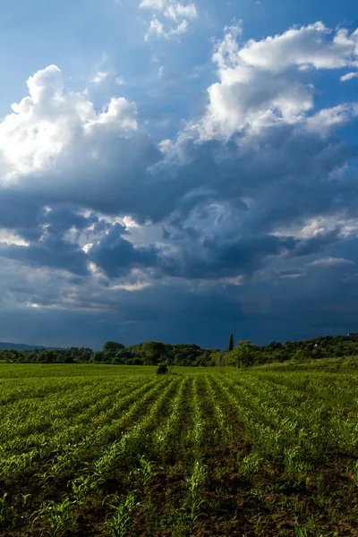 Gewitterwolken — Stockfoto