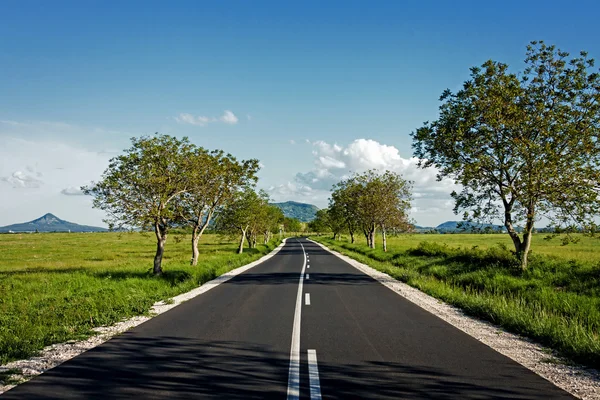 Estrada de asfalto — Fotografia de Stock