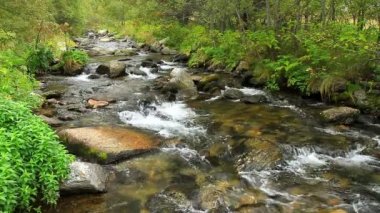 (İspanya pirineus güzel nehir detay)