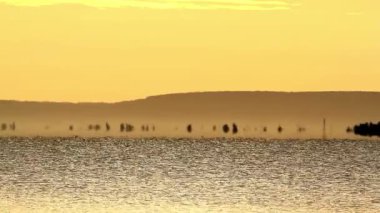 Serap ile Macaristan, balaton Gölü üzerinde güzel gündoğumu