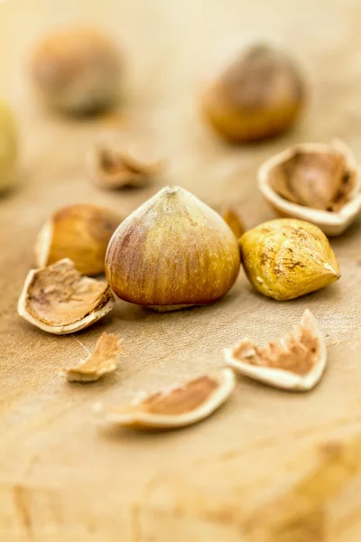 Hazelnut — Stock Photo, Image