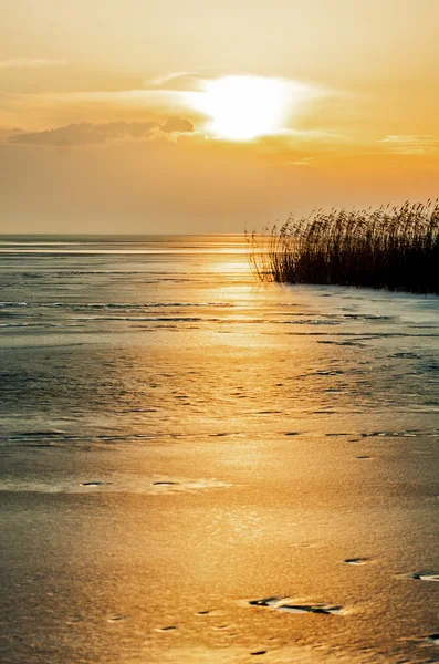 Sonnenuntergang — Stockfoto