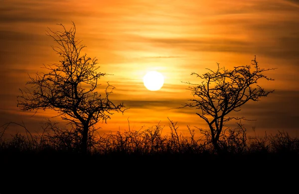 Sonnenuntergang — Stockfoto