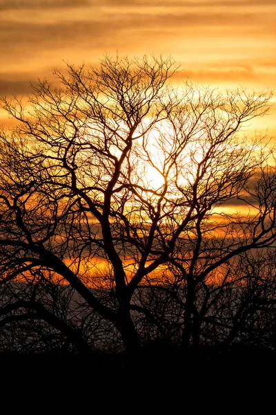 Zonsondergang — Stockfoto