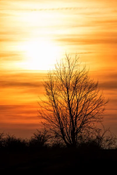 Zachód słońca — Zdjęcie stockowe