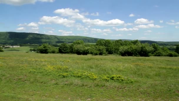 Hermoso paisaje verde — Vídeos de Stock