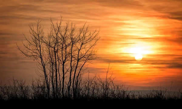 Puesta de sol — Foto de Stock