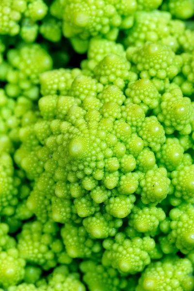 Chou Romanesco — Photo