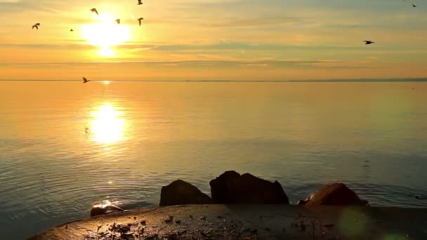 Beau lever de soleil sur le lac Balaton de Hongrie — Video