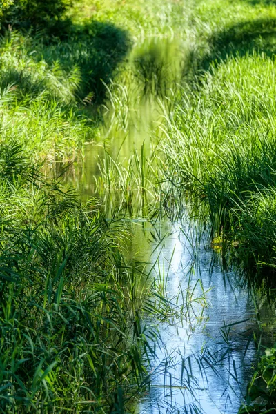 Creek — Stock Photo, Image