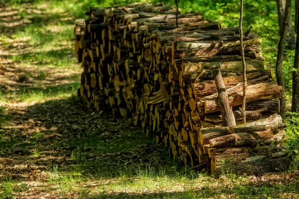 Большая куча древесины — стоковое фото