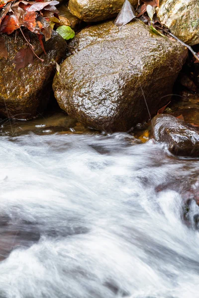 Creeck. — Fotografia de Stock