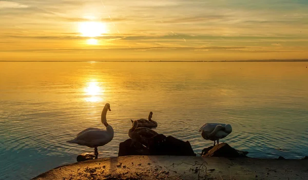 Sonnenaufgang — Stockfoto