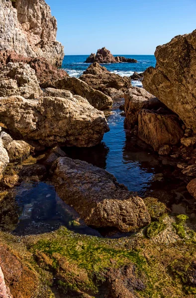 Detalle de la costa española (Costa Brava ) —  Fotos de Stock