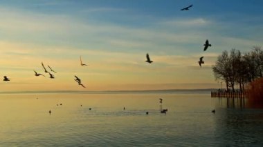 Macaristan Balaton Gölü 'nün üzerinde güzel bir gün doğumu