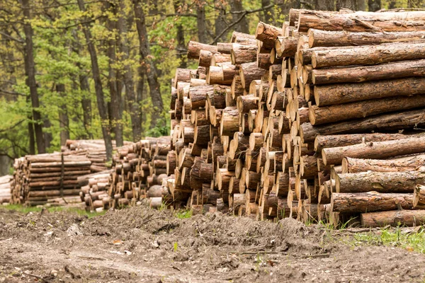 Grande mucchio di legno — Foto Stock