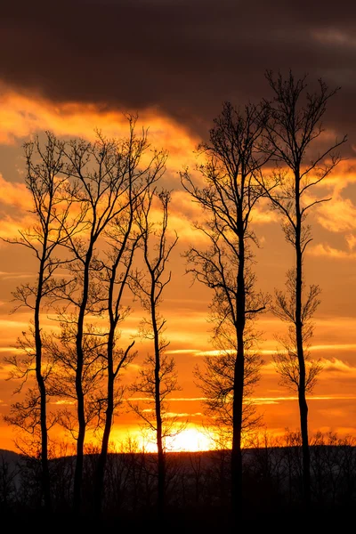 Schöner Sonnenuntergang — Stockfoto