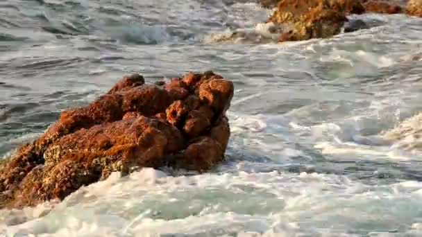 Küste in Spanien (costa brava) — Stockvideo