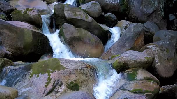 Kayaya Yakın Küçük Nehir Detayları Yavaş Çekim Görüntüleri — Stok video