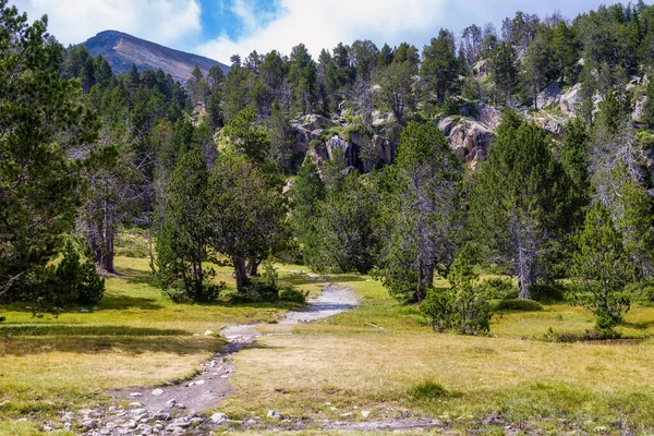 Letni Krajobraz Cerdanya Góra Pirenejów Katalonia Hiszpania — Zdjęcie stockowe