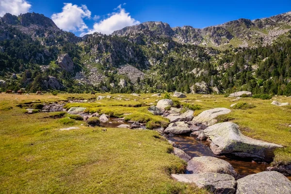 Paisagem Verão Cerdanya Montanha Dos Pirinéus Catalunha Espanha — Fotografia de Stock