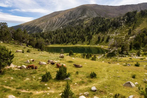 Paisagem Verão Cerdanya Pirinéus Lago Montanha Catalunha Espanha — Fotografia de Stock