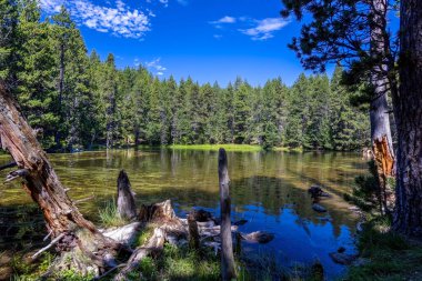 La Cerdanya 'da yaz manzarası, Pirenes Dağı Gölü, Katalonya, İspanya.