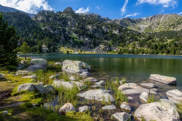 Summer Landscape Cerdanya Pyrenees Mountain Lake Catalonia Spain — Stock Photo, Image