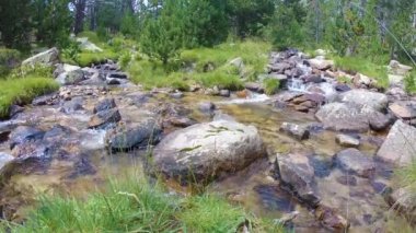 La Cerdanya 'da yaz manzarası, Pirenes Dağı, Katalonya, İspanya.