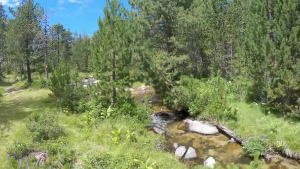 Letni Krajobraz Cerdanya Góra Pirenejów Katalonia Hiszpania — Wideo stockowe