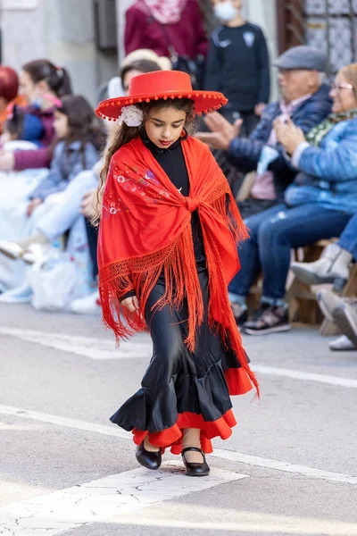 Carnaval Tradicional Una Ciudad Española Palamos Cataluña Mucha Gente Disfrazada — Foto de Stock