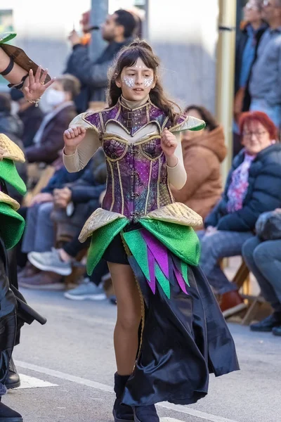 Carnaval Tradicional Una Ciudad Española Palamos Cataluña Mucha Gente Disfrazada — Foto de Stock