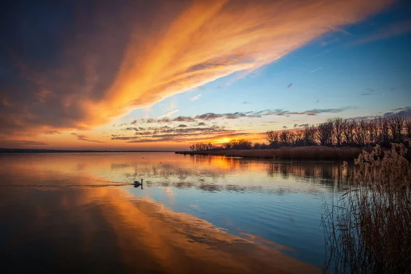 Macaristan Balaton Gölü Güzel Günbatımı Işığı — Stok fotoğraf