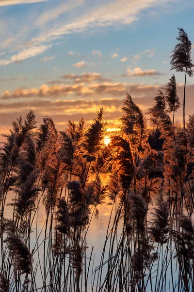 Krásný Západ Slunce Světlo Nad Jezero Balaton Maďarsku — Stock fotografie