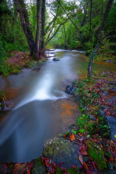 Beautiful Creek Forest Spain Village Les Planes Hostoles Catalonia Long — Stock Photo, Image